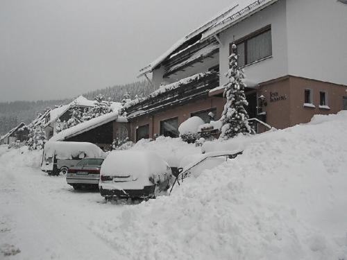 Haus Hubertus Hotel Winterberg Eksteriør billede