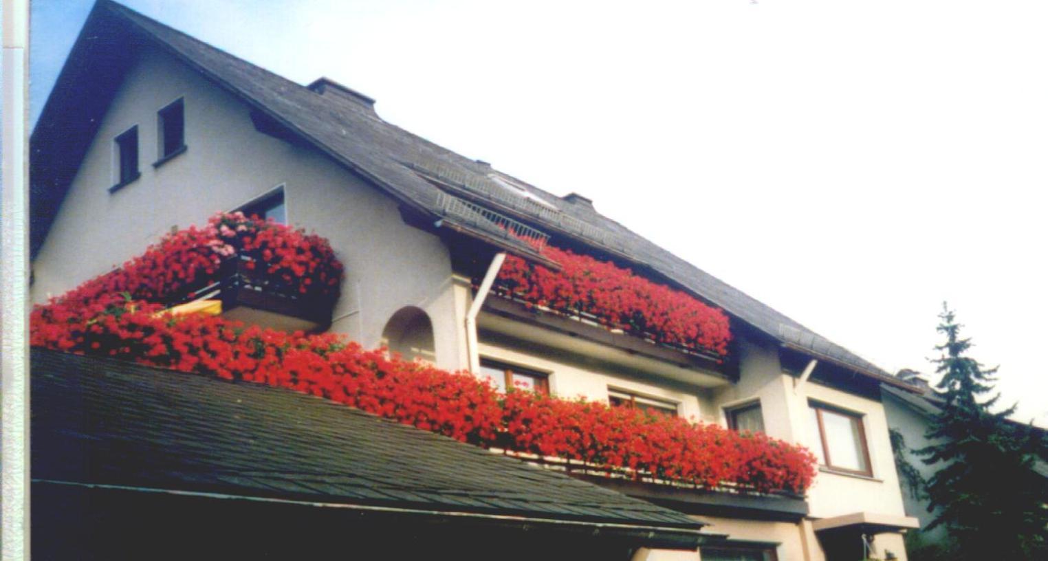 Haus Hubertus Hotel Winterberg Eksteriør billede